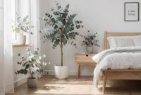 Eucalyptus - Eukaliptus: australijska legenda o leczniczym zapachu