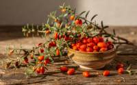 Goji - Lycium barbarum: Superżywność pełna zdrowia w Twoim ogrodzie