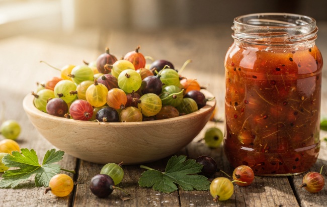 Ribes uva-crispa - Agrest: Krzew liściasty obfitujący w słodkie owoce