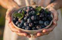 Borówka kanadyjska - Niebieski skarb z Ameryki Północnej