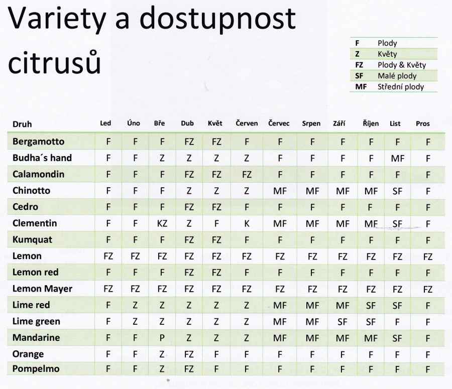 Kdy citrusy plodí a kvetou