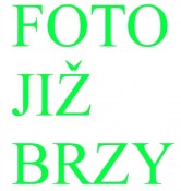 Mrazuvzdorná mandarinka Nova