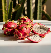 Pitaya - Hylocereus undatus – dračí ovoce střední (2/2)