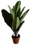 Umělá dekorativní rostlina philodendron jungle king 47 cm