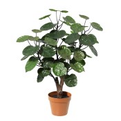 Umělá dekorativní rostlina Stínovka - Polyscias Fabian 60 cm