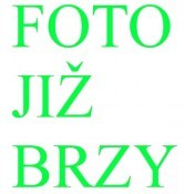 Citrus Bergamot největší (2/2)