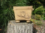 Květináč s lekníny (1/2)