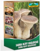 Sadba Hlíva královská - máčková 250 ml