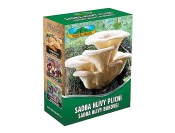 Hlíva plicní 250 ml