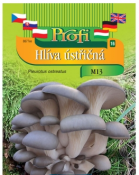 Sadba Hlíva ústřičná typ m13