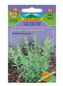 Semena Estragon – Pelyněk kozalec - Artemisia dracunculus 