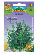 Semena Yzop lékařský - Hyssopus officinalis